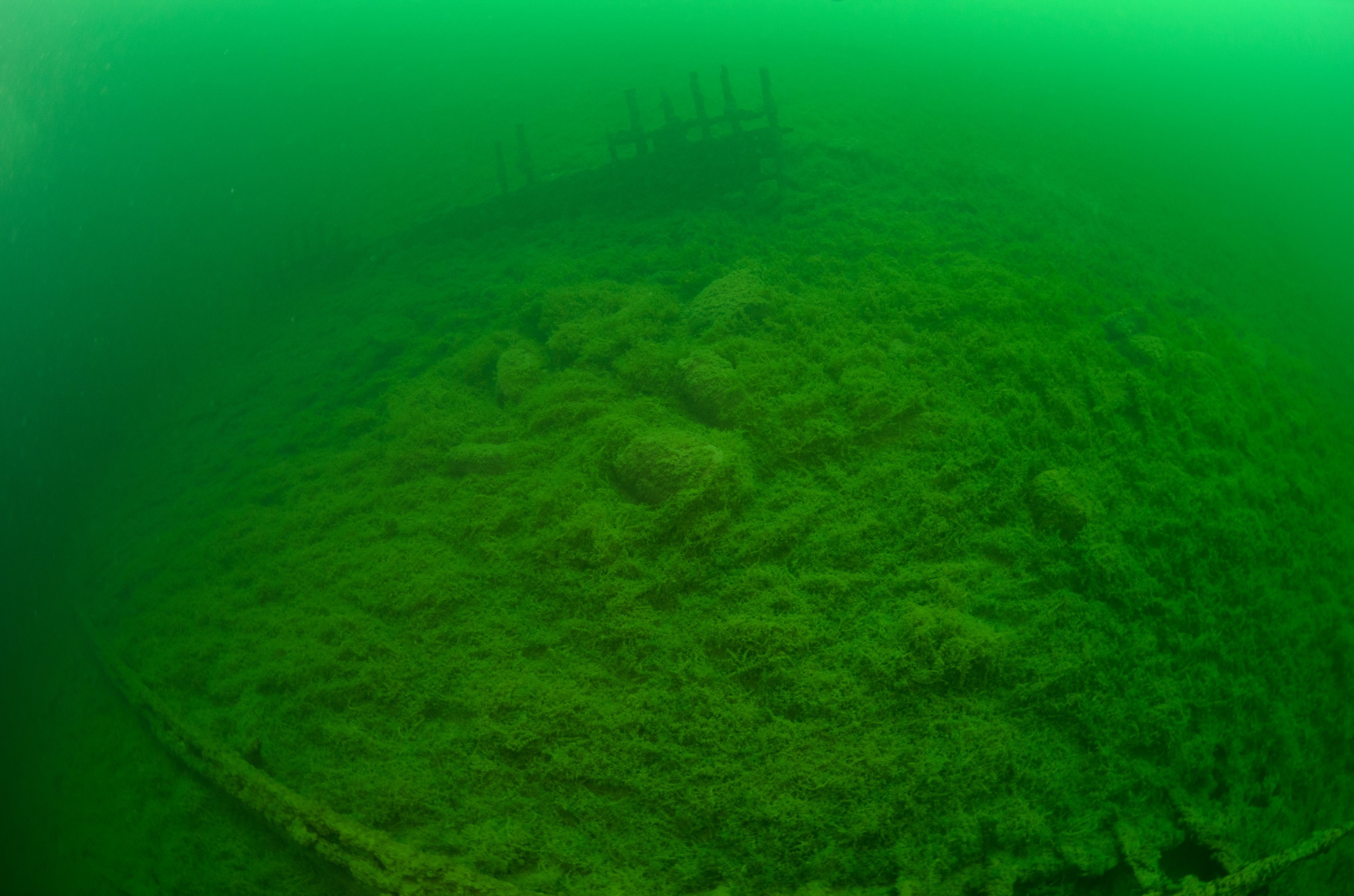 DSC_7023 – Waikaremoana, Waikaremoana_August_16, adventure, crispin, fresh, freshwater, hidden, lake, maori, new, nz, secret, urewera, war, wreck, zealand